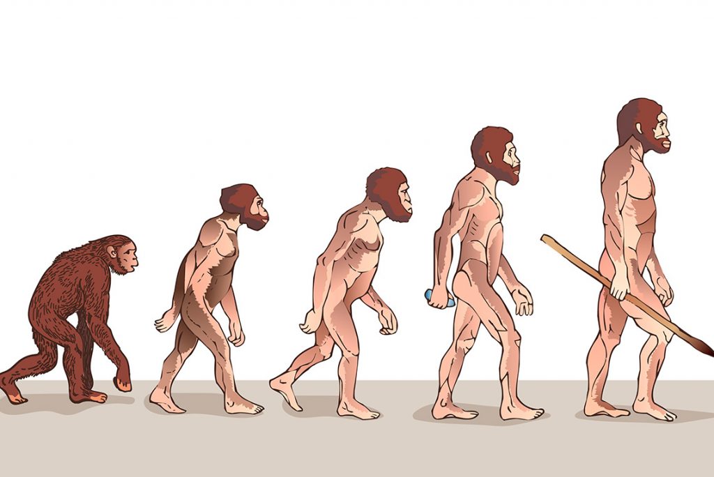 Pré-História e Migração do Homo Sapiens